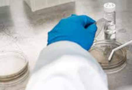 The Crucial Role of Post-Remediation Verification in Mould Removal