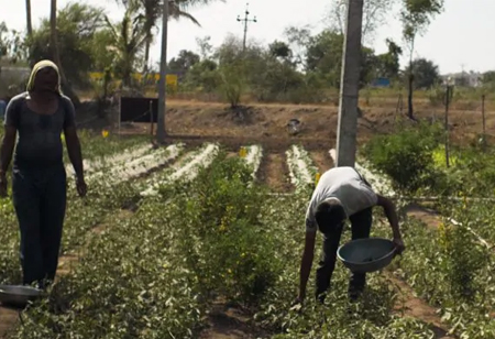 John Deere Celebrates the Resiliency of Farmers