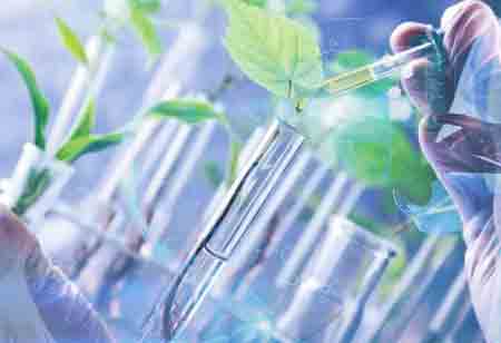 Four Basement Flooring Options to Elevate Your Place