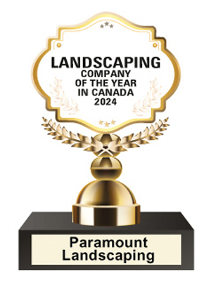 Paramount Landscaping: Providing Landscaping And Construction Services With Accountability 