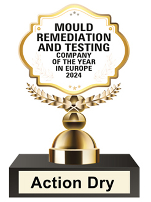 Mould Remediation and Testing Company of the Year in Europe – 2024